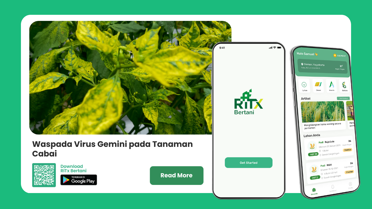 virus gemini- smart farming