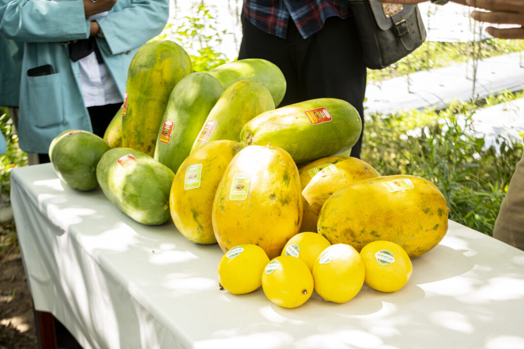 smart farming - morefruit