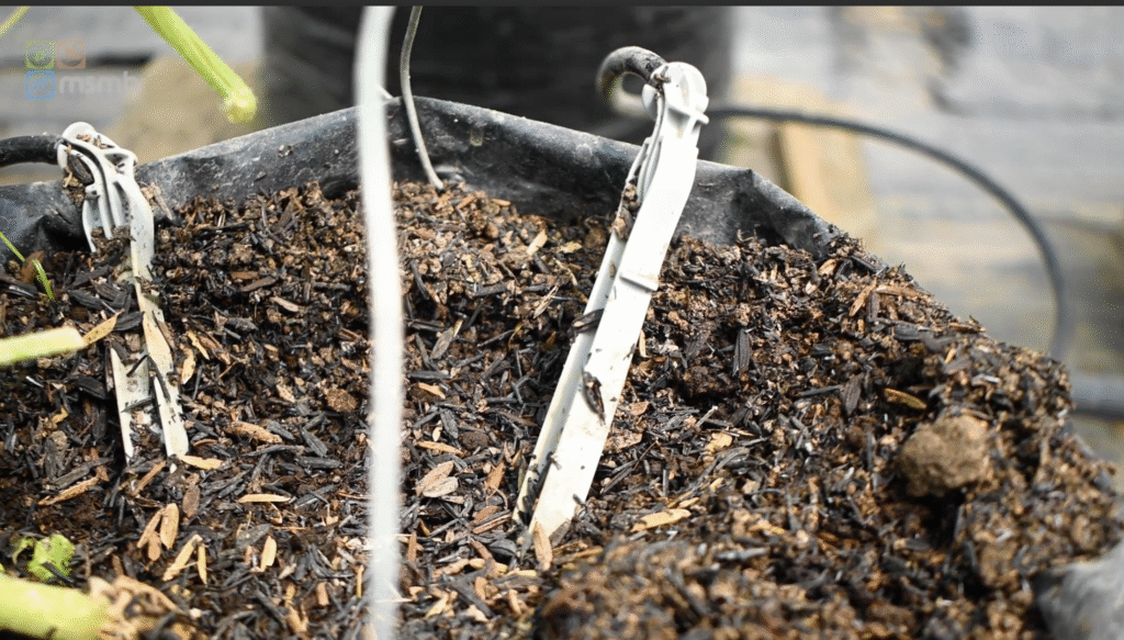 smart farming