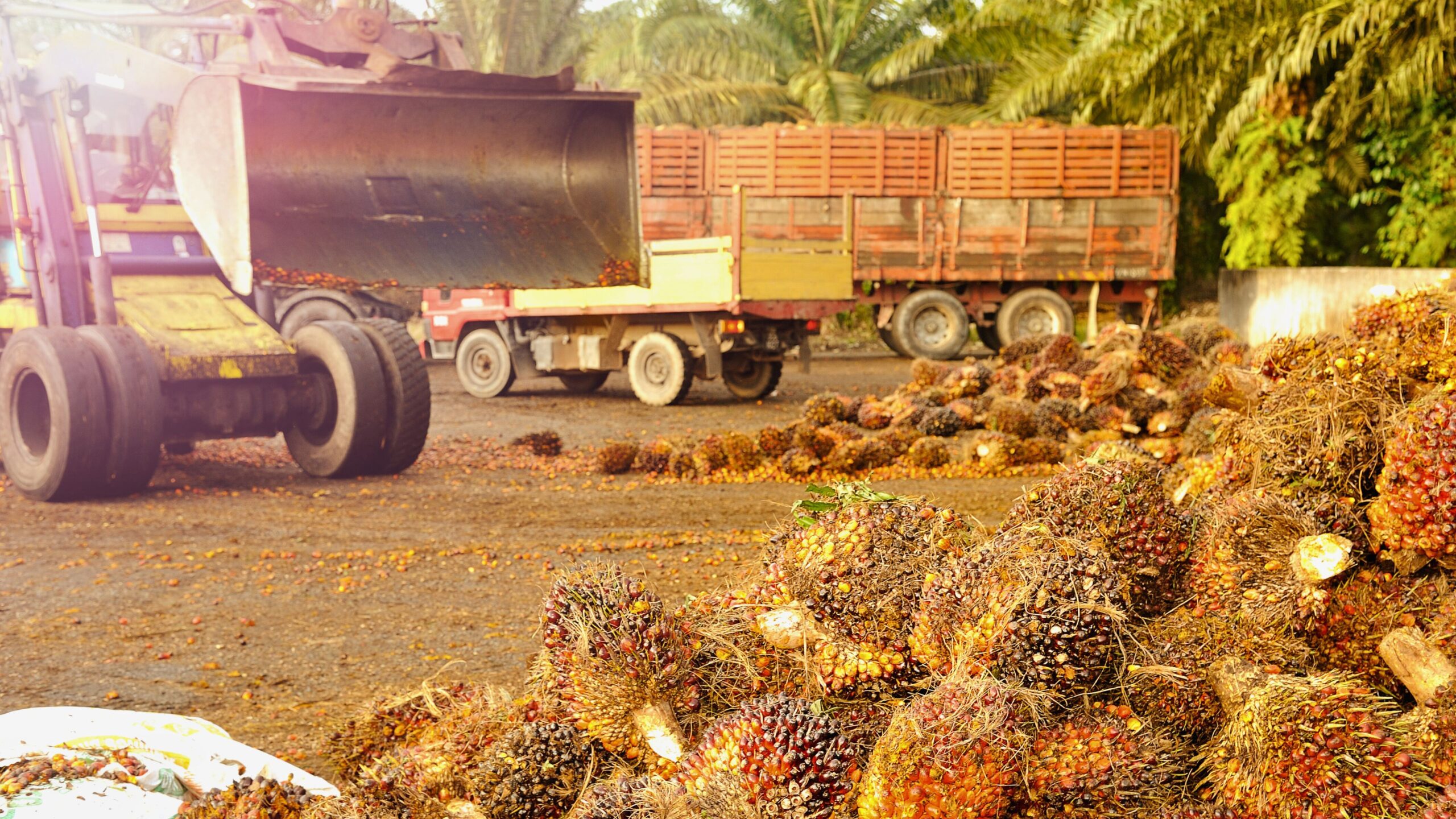 Industri-kelapa-sawit