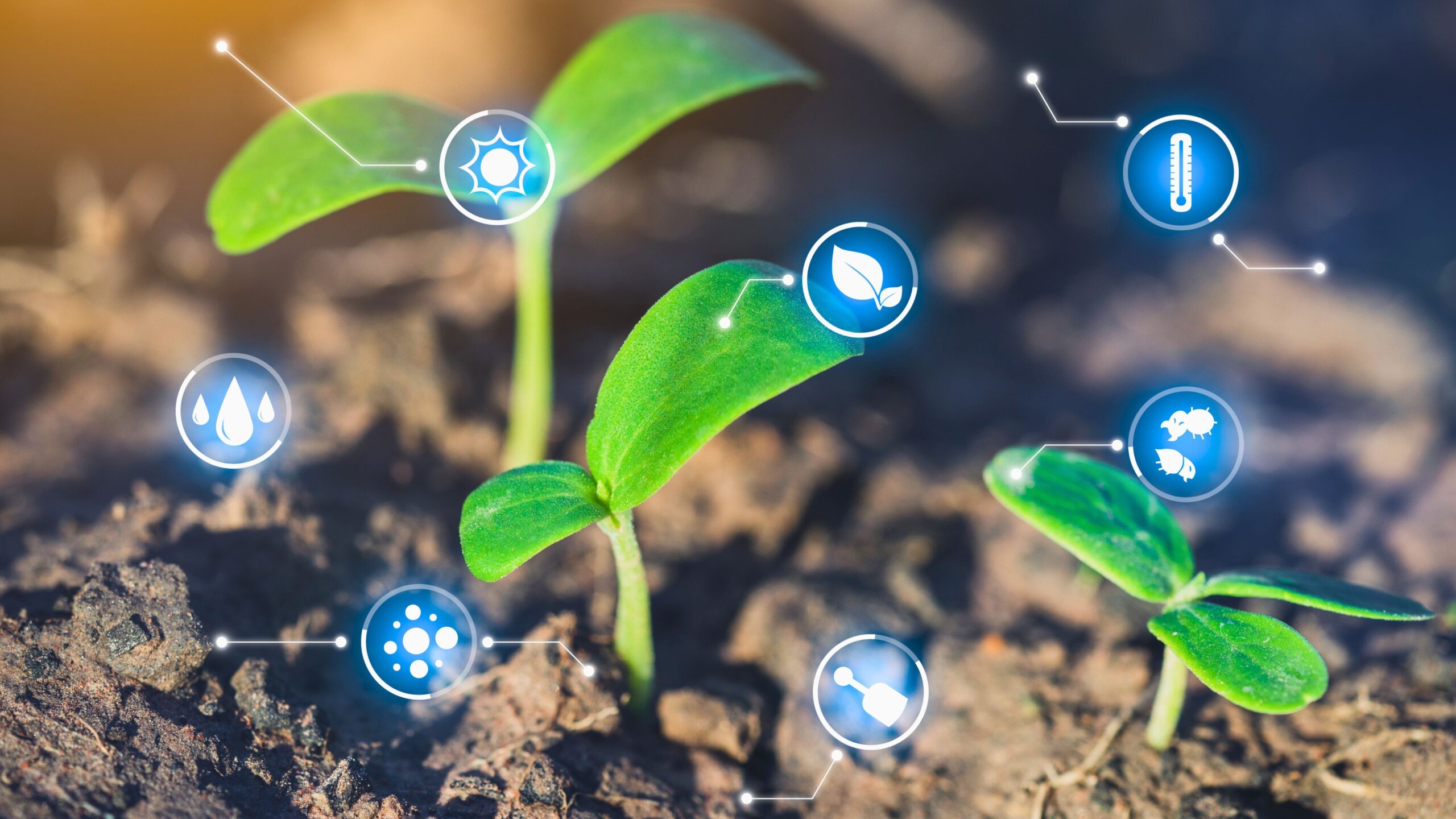 Keuntungan-smart-farming