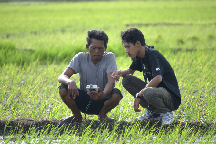 Agronomis MSMB memberikan konsultasi interpretasi data Jinawi kepada petani untuk optimasi pengelolaan lahan padi berkelanjutan