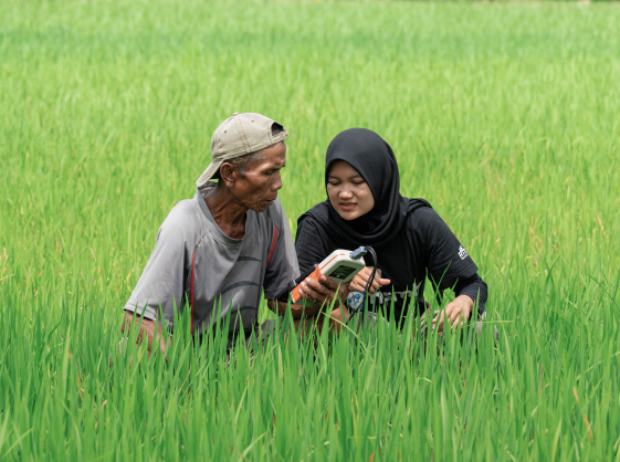 Program pemberdayaan petani MSMB melalui pendampingan langsung di lapangan untuk optimasi budidaya padi dengan teknologi smart farming