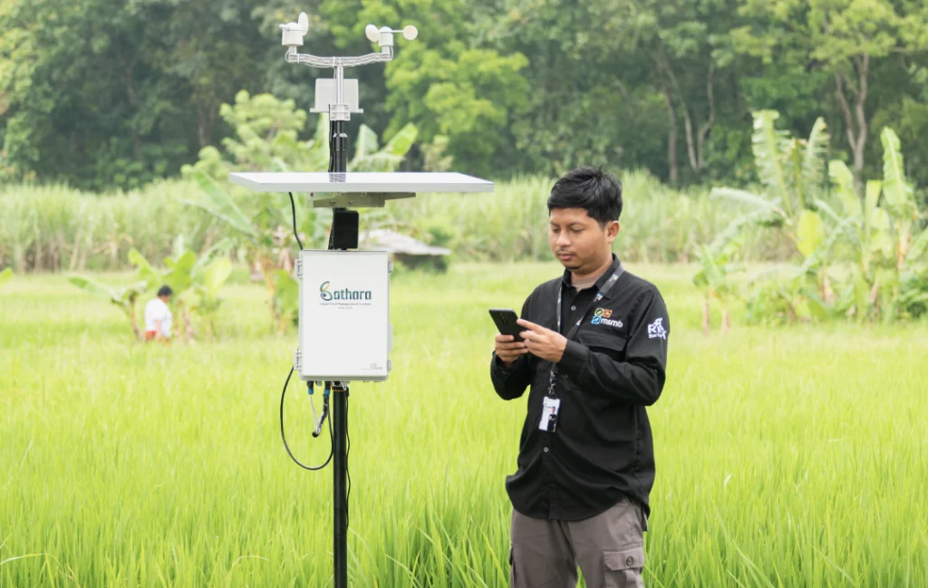 Field officer MSMB melakukan monitoring dan konfigurasi sistem Bathara untuk pengendalian hama presisi pada budidaya padi