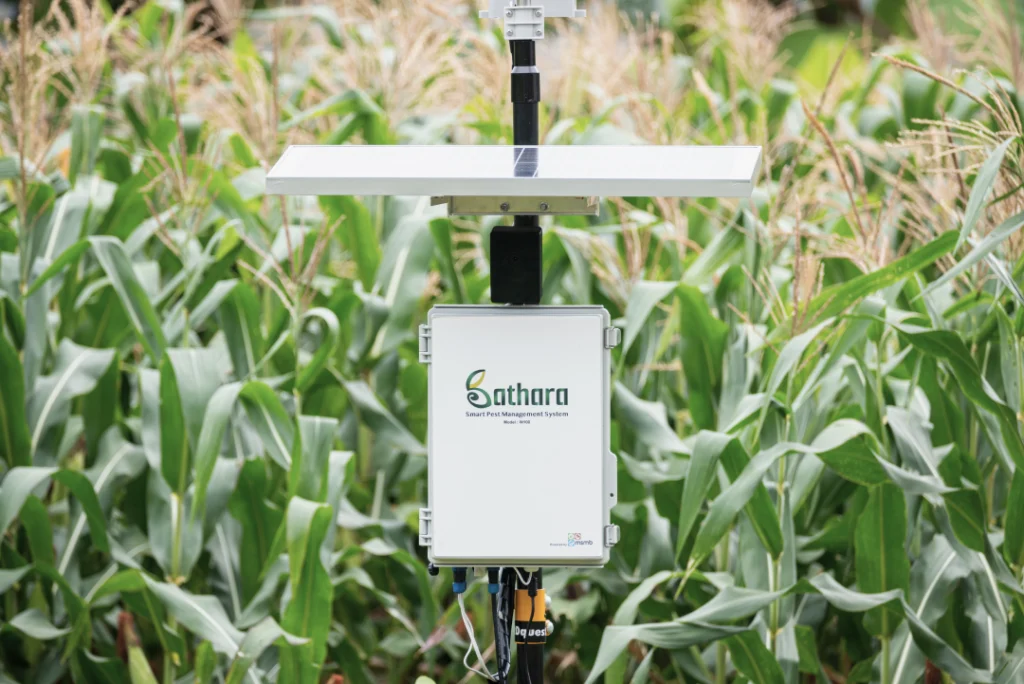 Perangkat Bathara MSMB terpasang optimal di tengah lahan jagung untuk monitoring iklim mikro dan early warning sistem hama