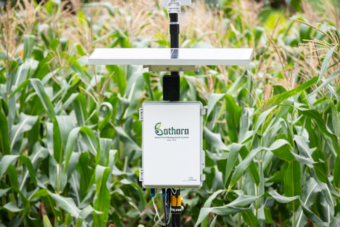 Bathara MSMB - Sistem IoT pengendalian hama terpadu otomatis untuk monitoring dan proteksi tanaman jagung secara presisi