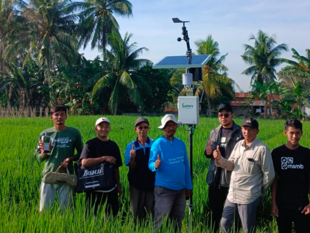 Kelompok tani mitra MSMB bersama tim teknisi setelah instalasi sistem Bathara untuk pengendalian hama terpadu di lahan padi