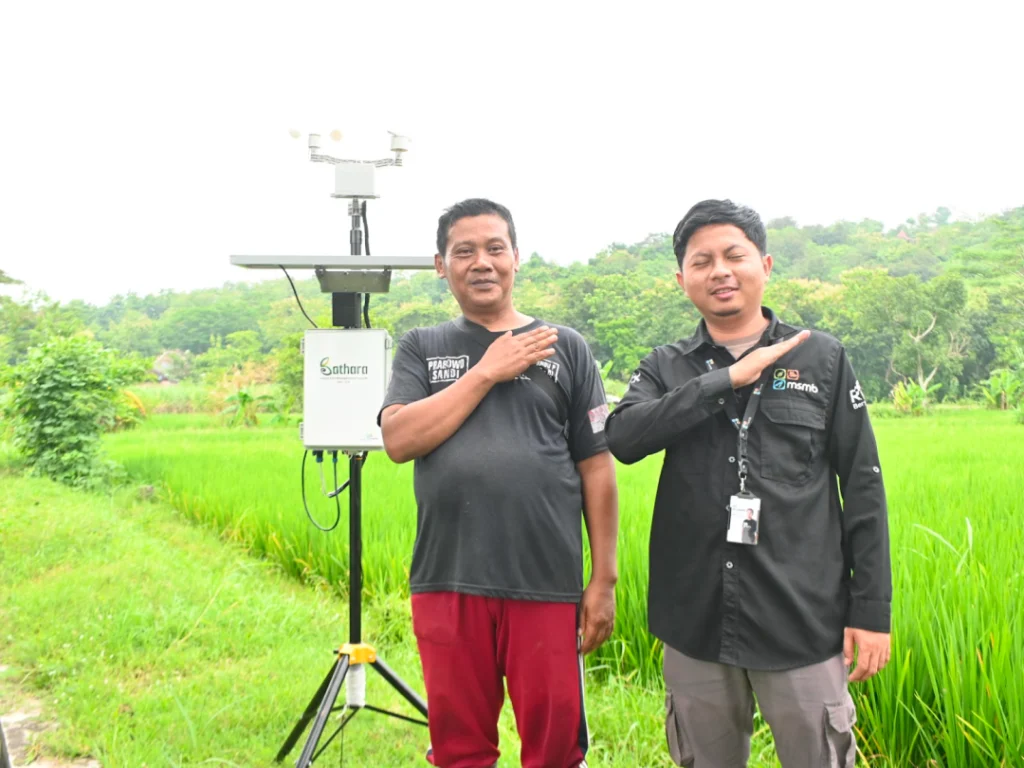Petani mitra dan teknisi MSMB menunjukkan kepuasan dengan sistem Bathara untuk proteksi tanaman padi dari serangan hama