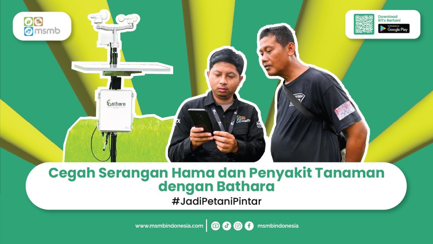 Cegah serangan hama dan penyakit tanaman dengan bathara