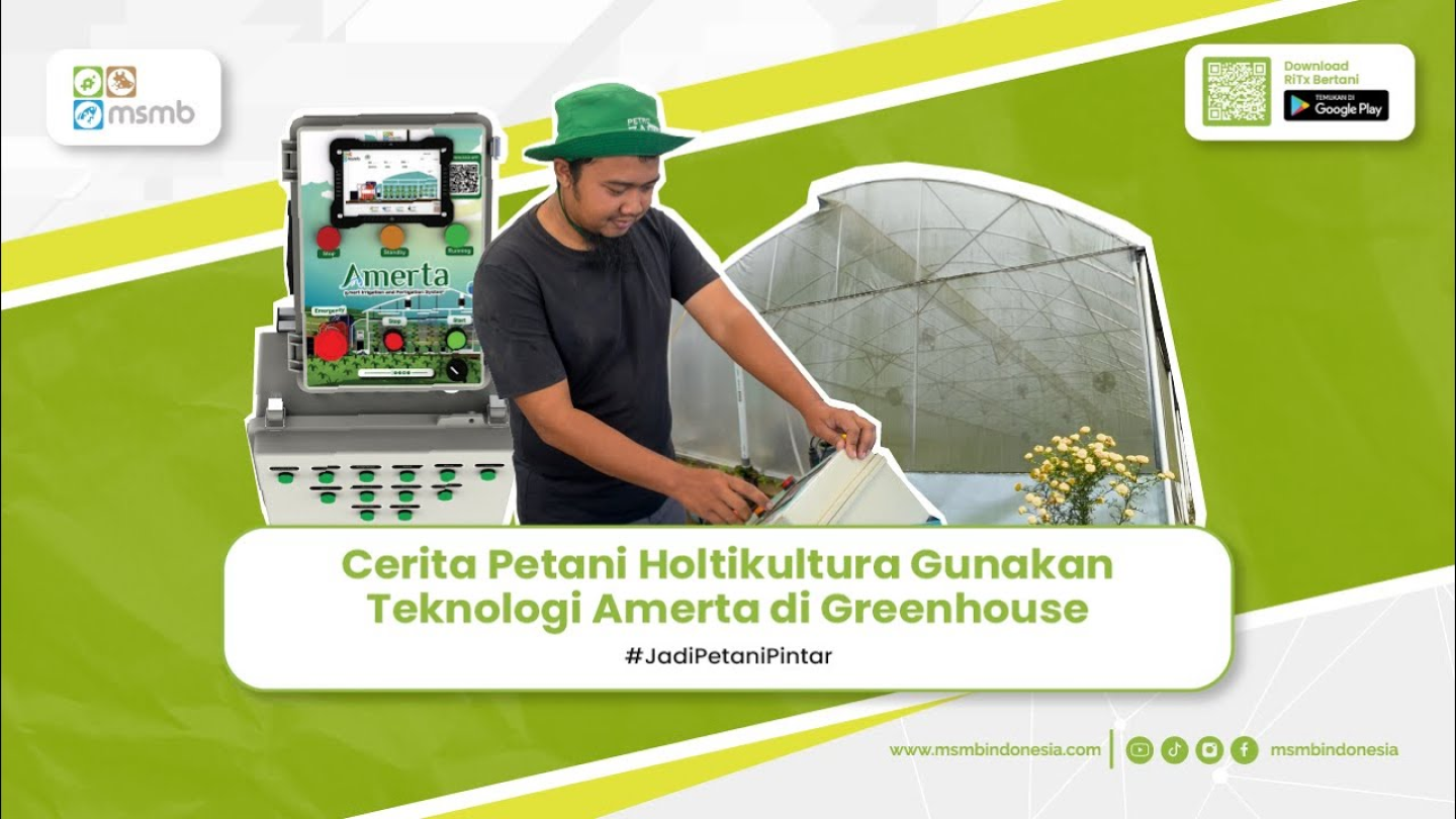 Cerita petani holtikultura gunakan teknologi amerta di greenhouse
