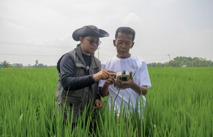 Tim MSMB menjelaskan aplikasi RiTx Jinawi kepada petani untuk monitoring kesehatan tanaman padi dan rekomendasi pemupukan presisi