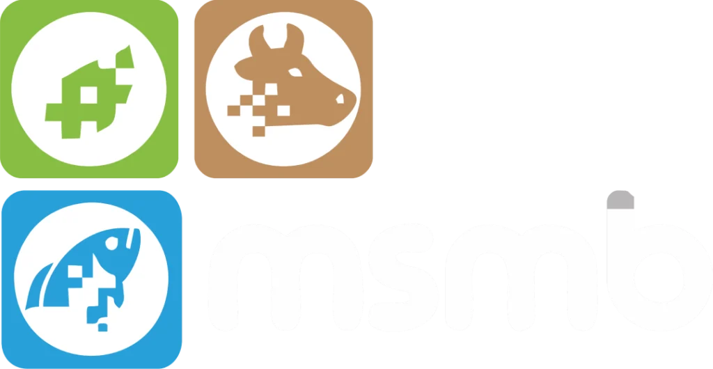 Logo MSMB