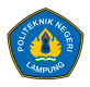 Logo Polinela