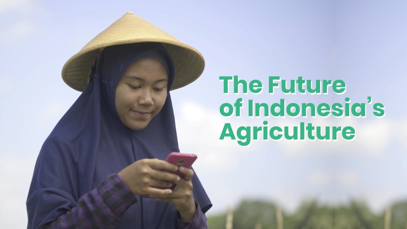 Thumbnail video The Future of Indonesia's Agriculture MSMB