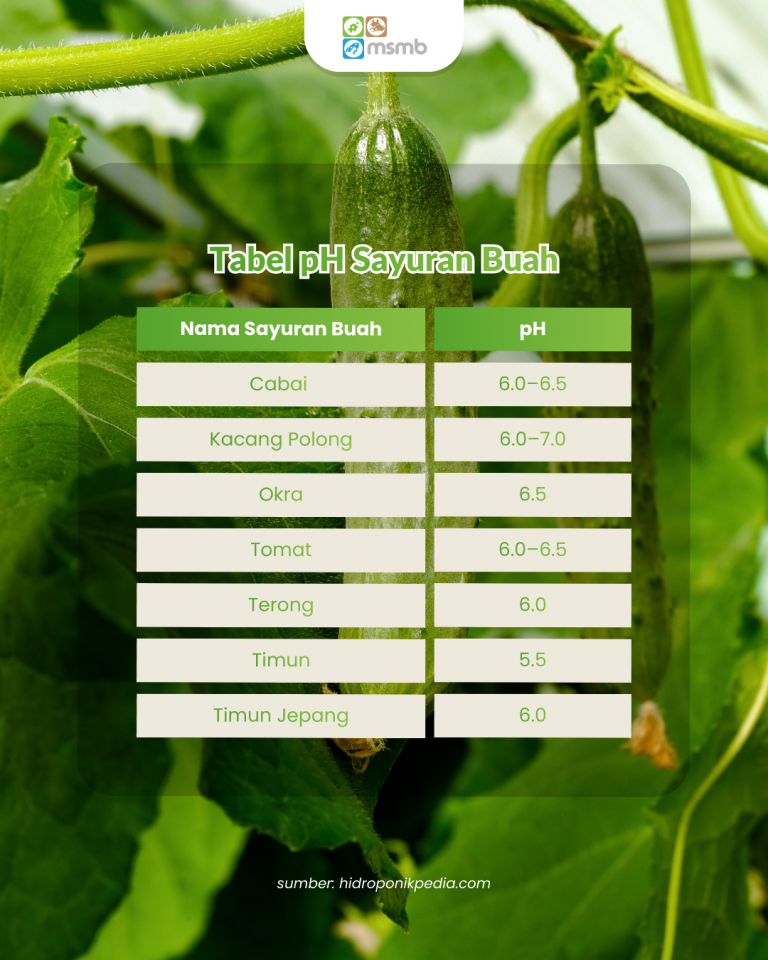 Sayuran Buah